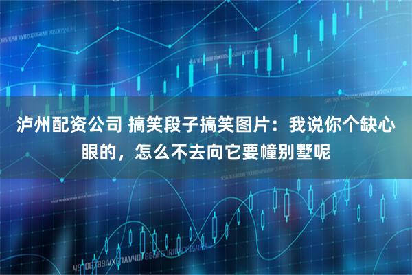 泸州配资公司 搞笑段子搞笑图片：我说你个缺心眼的，怎么不去向它要幢别墅呢