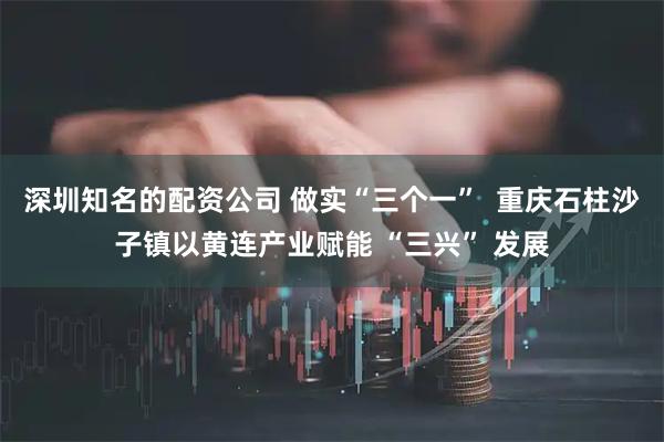 深圳知名的配资公司 做实“三个一”  重庆石柱沙子镇以黄连产业赋能 “三兴” 发展