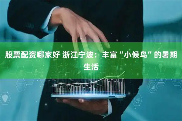 股票配资哪家好 浙江宁波：丰富“小候鸟”的暑期生活